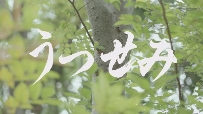 【出演情報】青地貴裕が出演しています映画「うつせみ」がU-NEXTにて配信されています！